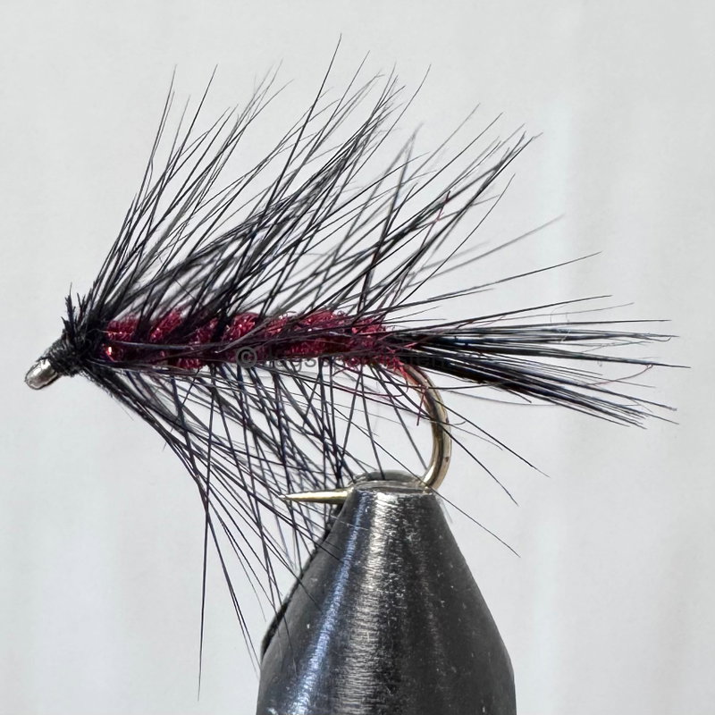 Crazy Palmer Black