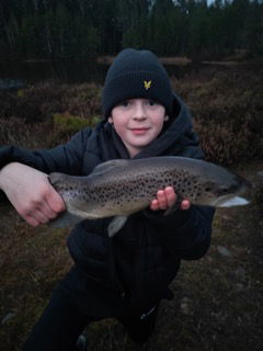 Fin öring