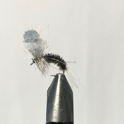 Mayfly kläckande