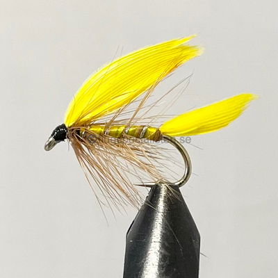 Yellow Master size 8