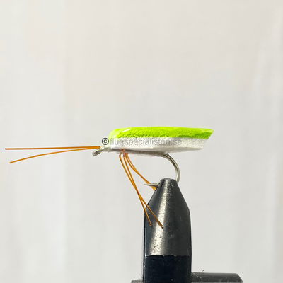 Shield Bug Light Green