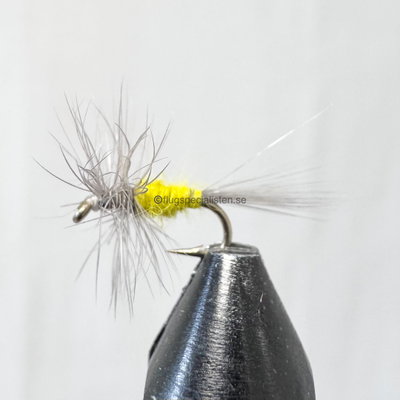 Midge yellow