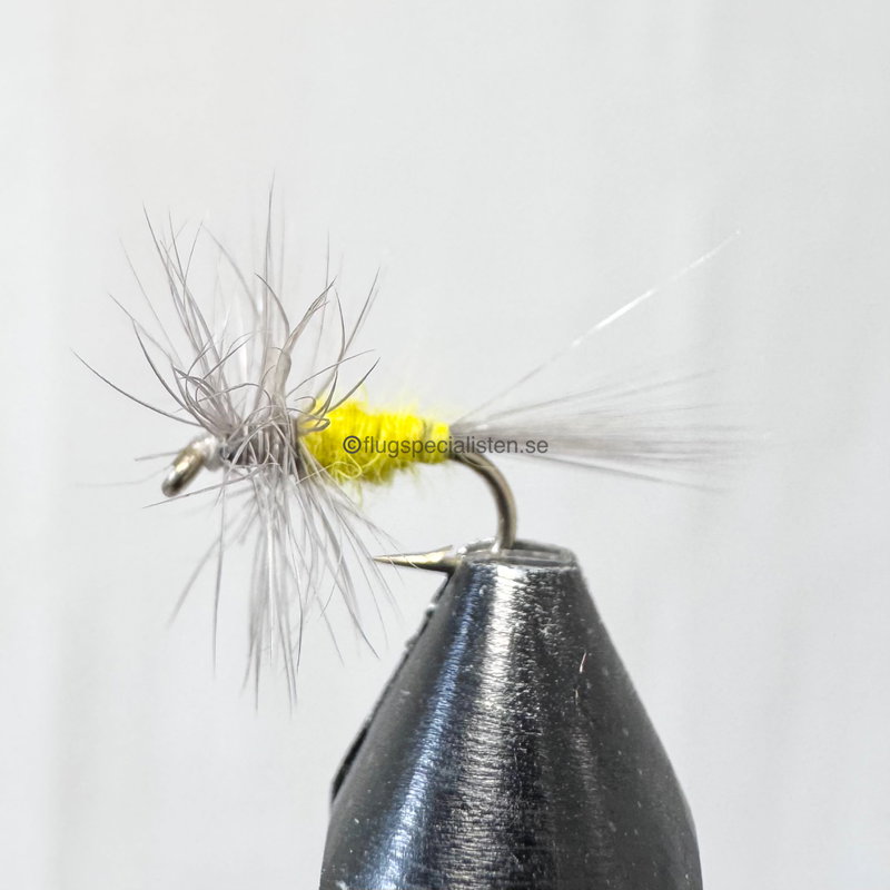 Midge yellow