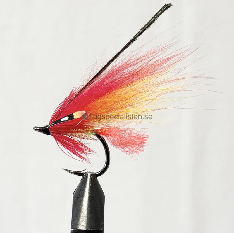 Trikoloren fluo yellow body