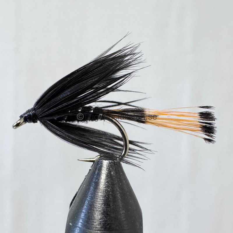 Black Pennel