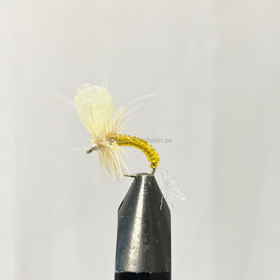 Mayfly kläckande
