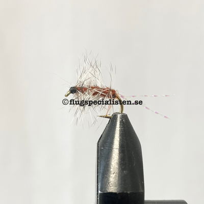 Griffiths gnat special brun