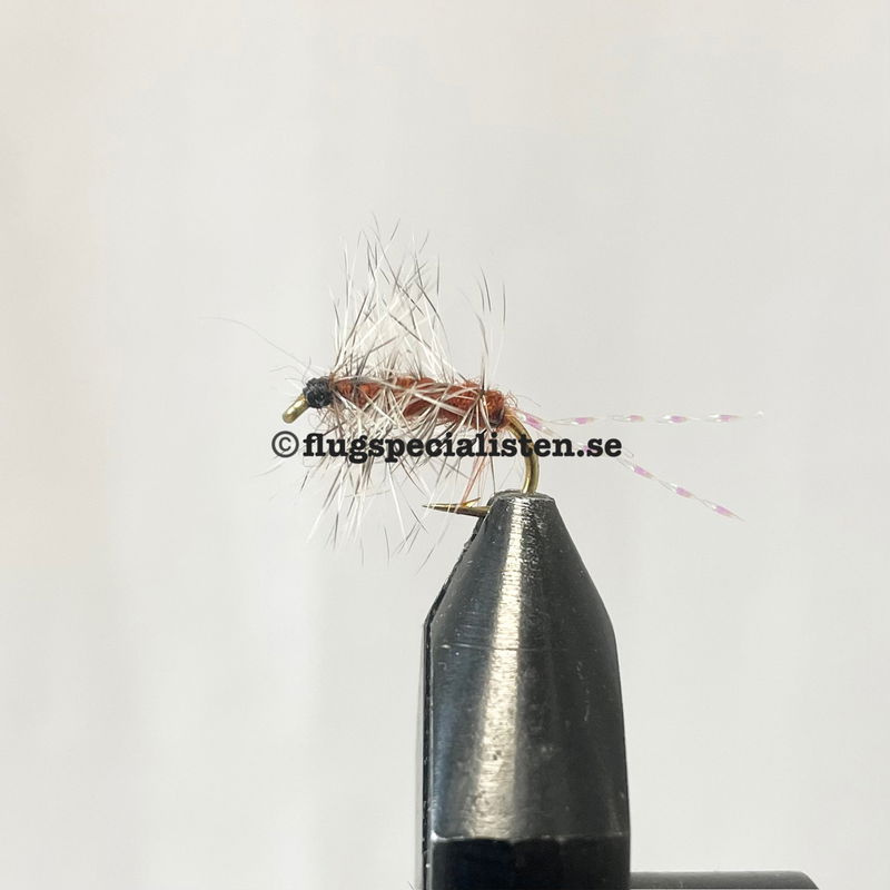 Griffiths gnat special brun