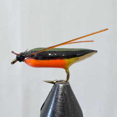 Ismopuppa small