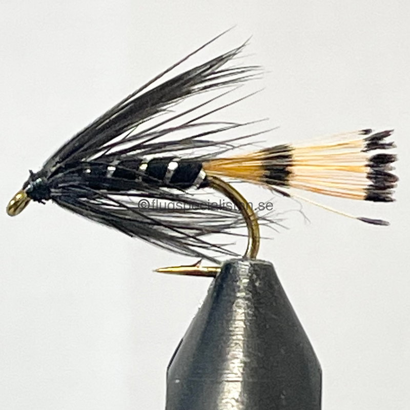 Black Pennel
