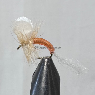 Mayfly