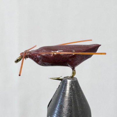 Ismopuppa brown mini