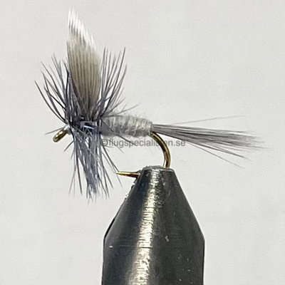 Blue dun