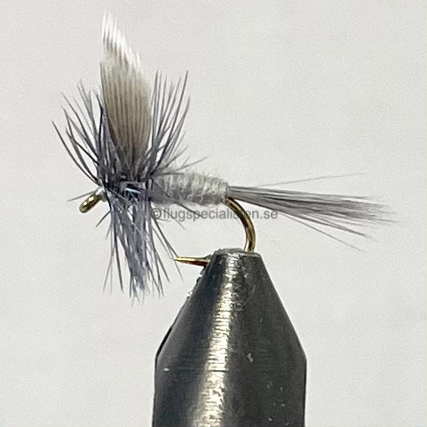 Blue dun