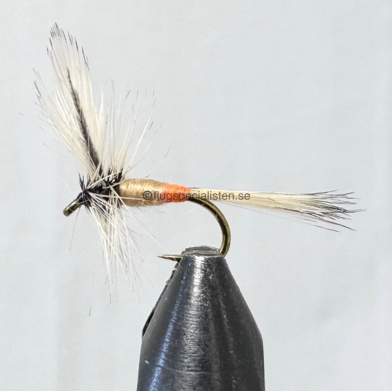 Grizzly orange tag