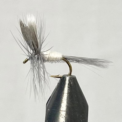 White dun