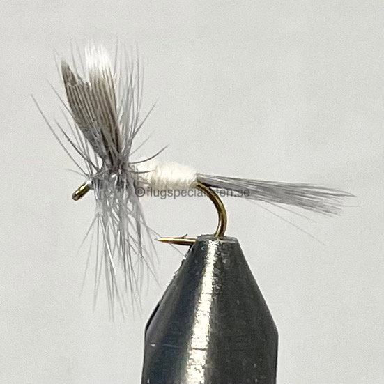 White dun
