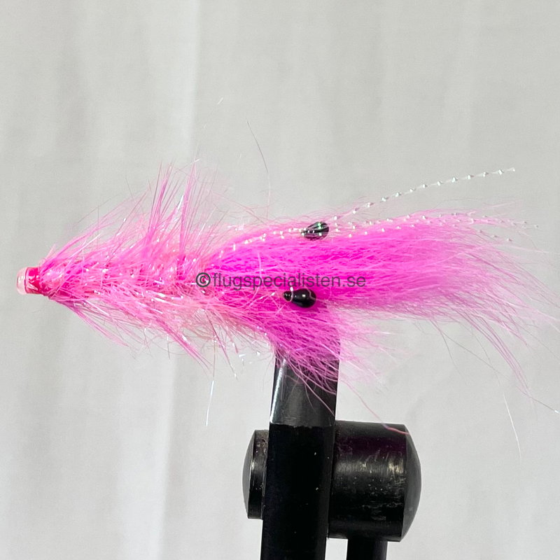 shrimp