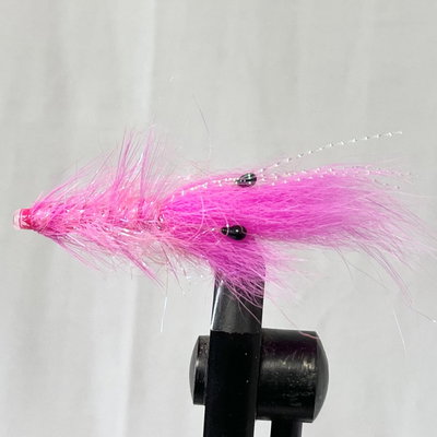 shrimp