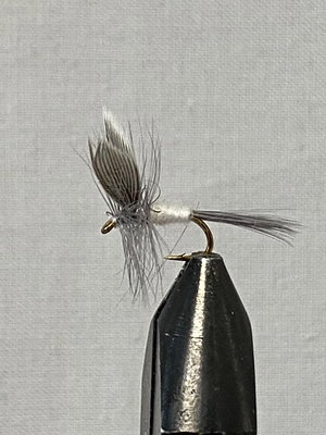 White dun