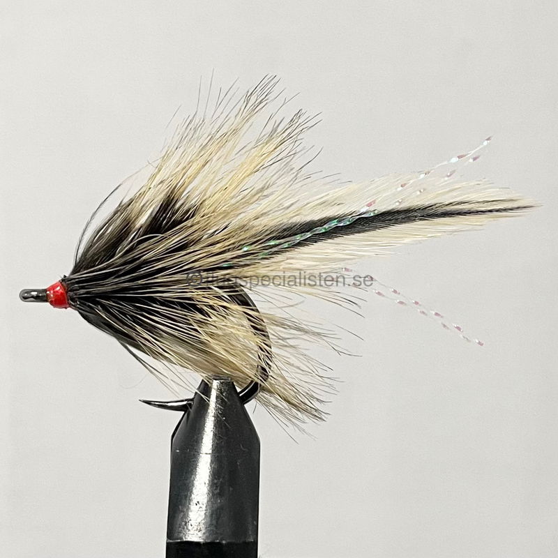 Grizzly trout
