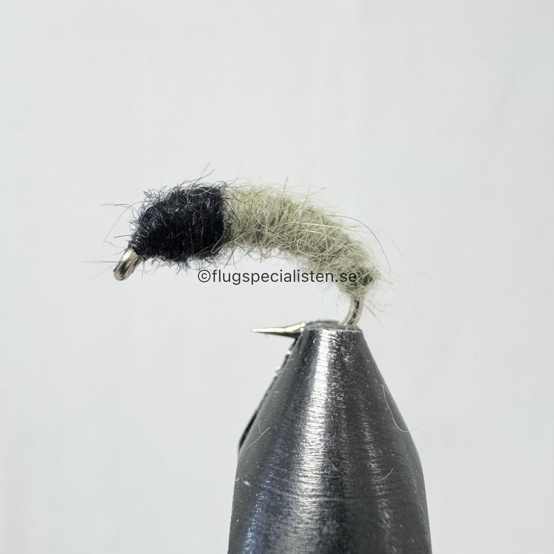 Czech Nymphe 