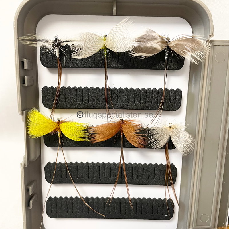 Mayfly samling 18 st