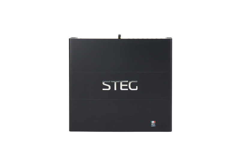 STEG SS-DSP16