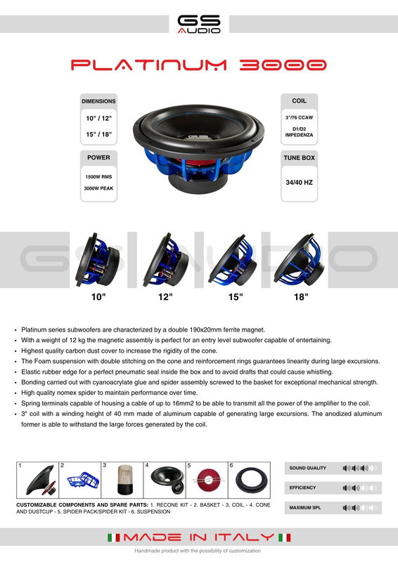 Gs Audio Platinum 10"