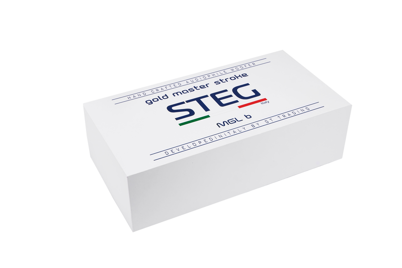 STEG MGL1  MGL3  MGL6 3-vägs aktivt kitsystem