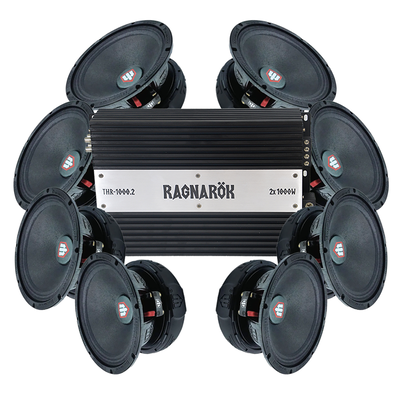 TT Technology 6PRO 8x6.5" Amp pack