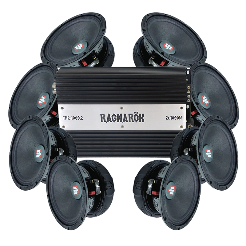 TT Technology 6PRO 8x6.5" Amp pack