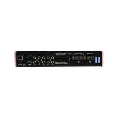 Reiss RS-DSP6.100
