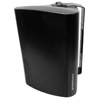 Phoenix Gold ZM5SB - 5.25″ 2-Way Weatherproof Speaker