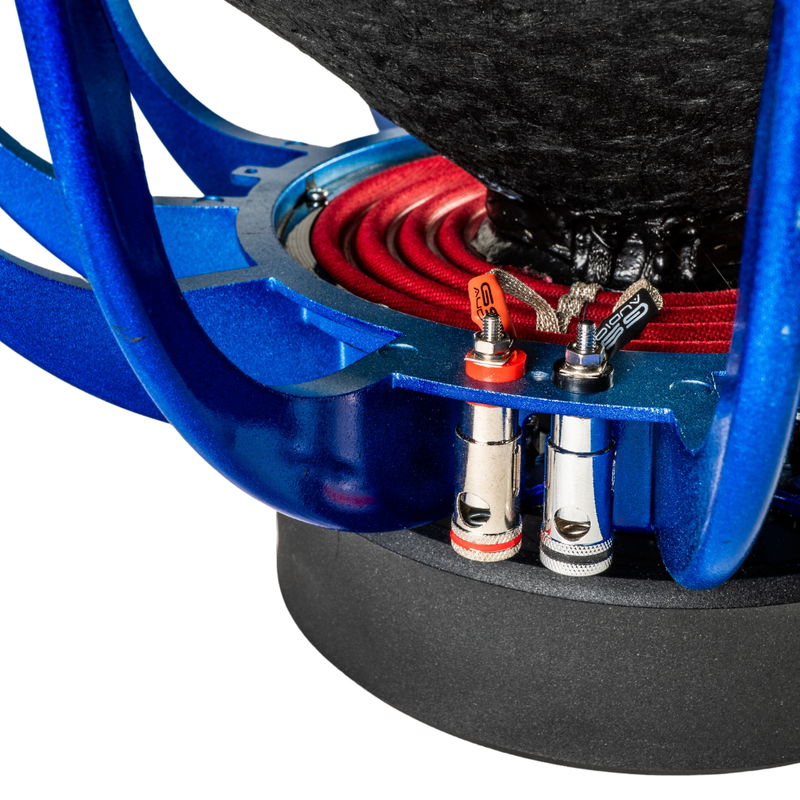 Gs Audio Platinum 10"