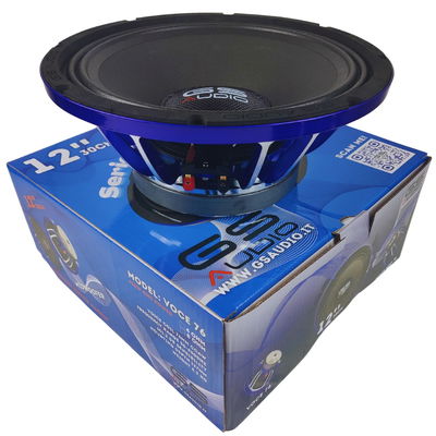 GS Audio Voce 12"