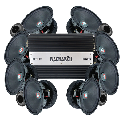 TT Technology 6PRO 8x6.5" Amp kit