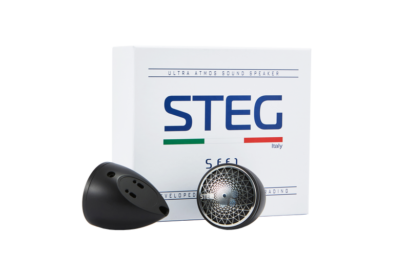 STEG SFF1 - AMT fullregister