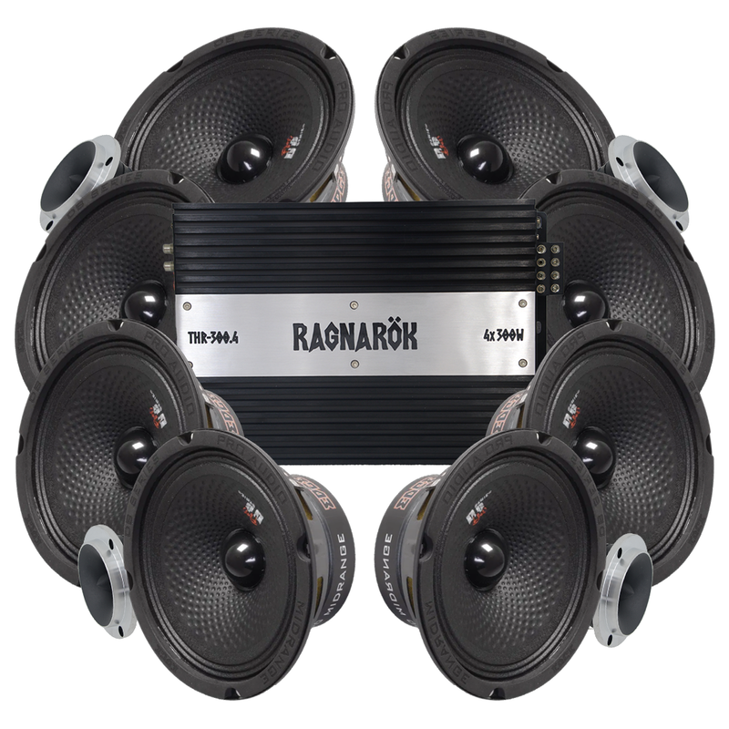 Edge EDBPRO6-E3 8x6.5" Amp kit