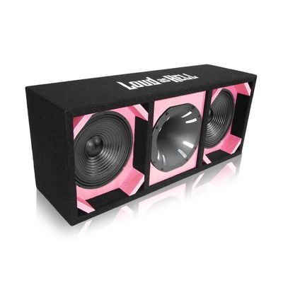 2x8" CW801/4 Pro låda med Terror Horn