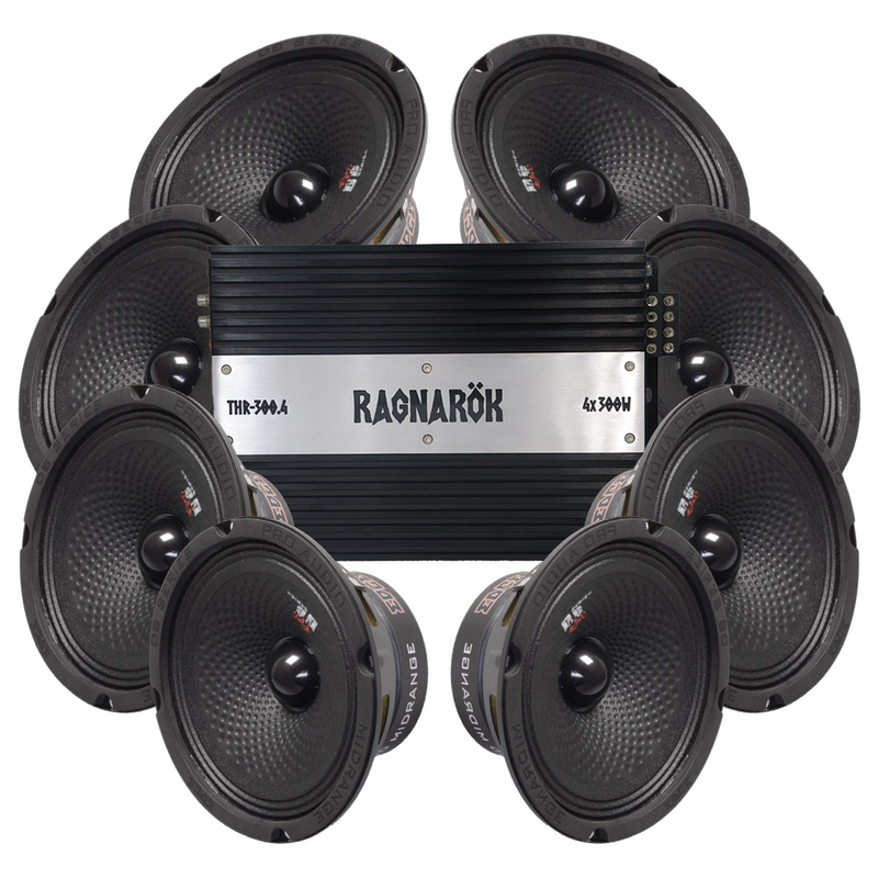 Edge EDBPRO6-E3 8x6.5" Amp pack