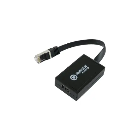 Reiss RS-DSP6.100