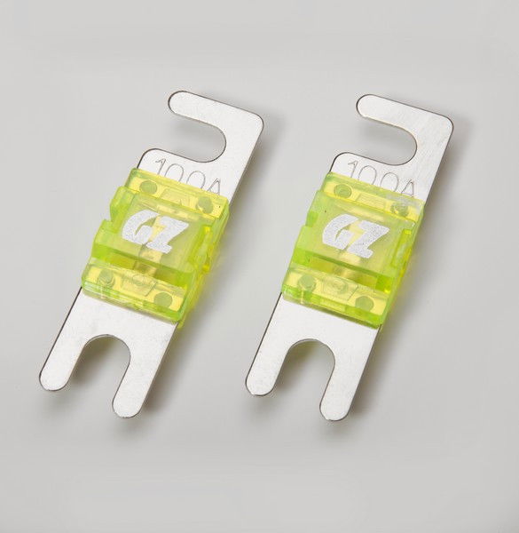 Mini ANL Fuse 100A 2 Pcs in blister
