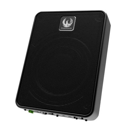 Phoenix Gold ZB8P 8" Ultra Compact Active Subwoofer