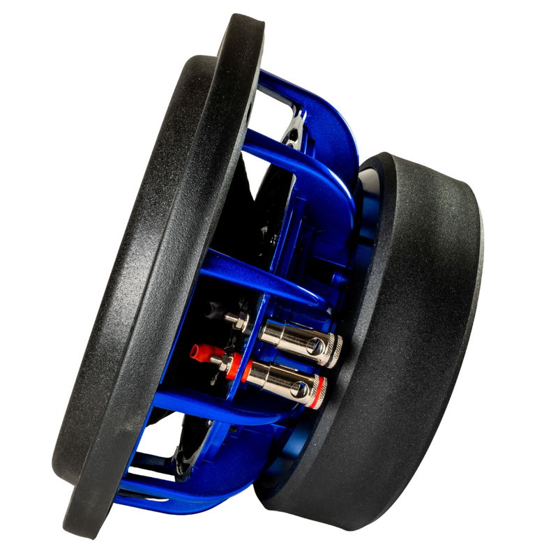 Gs Audio Platinum 10"