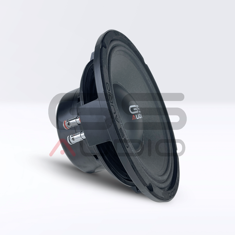 GS Audio PRO MAX 10N4-1900W