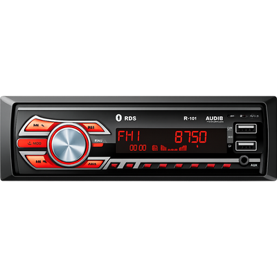 Audio System Italy R-101