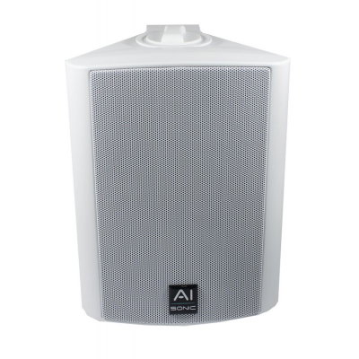 Ai-Sonic BT-A230 + OD-52W