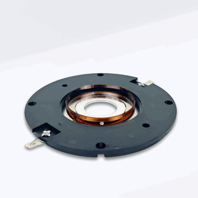 TW44 GS Audio Recone Kit
