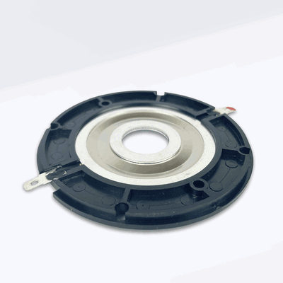 TW44 GS Audio Recone Kit